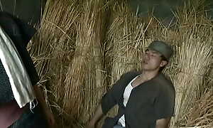 HTMS-090: Forbidden Attic (English Subtitles)