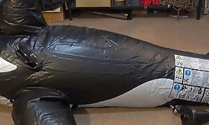 Whale Piece of baggage