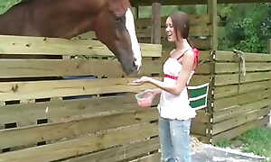 BrookeSkye round petite lean to at Horse breadth