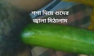 Bangladeshi crestfallen girl cucumber hard masturbate.